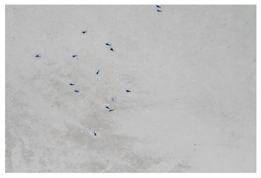../../_images/user_guide_examples_Bird_FineTuning_8_1.png